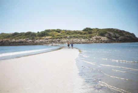 Let's walk to Salt Island on the sand bar at low tide.
