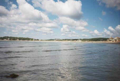 View of Good Harbor Beach from Salt Island shore.