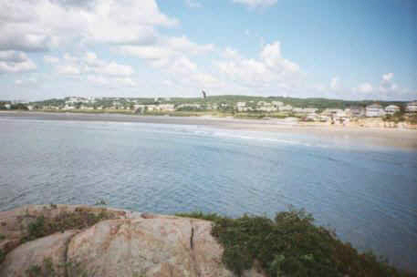Sea gull flying above beach. View of Good Harbor Beach from Salt Island.